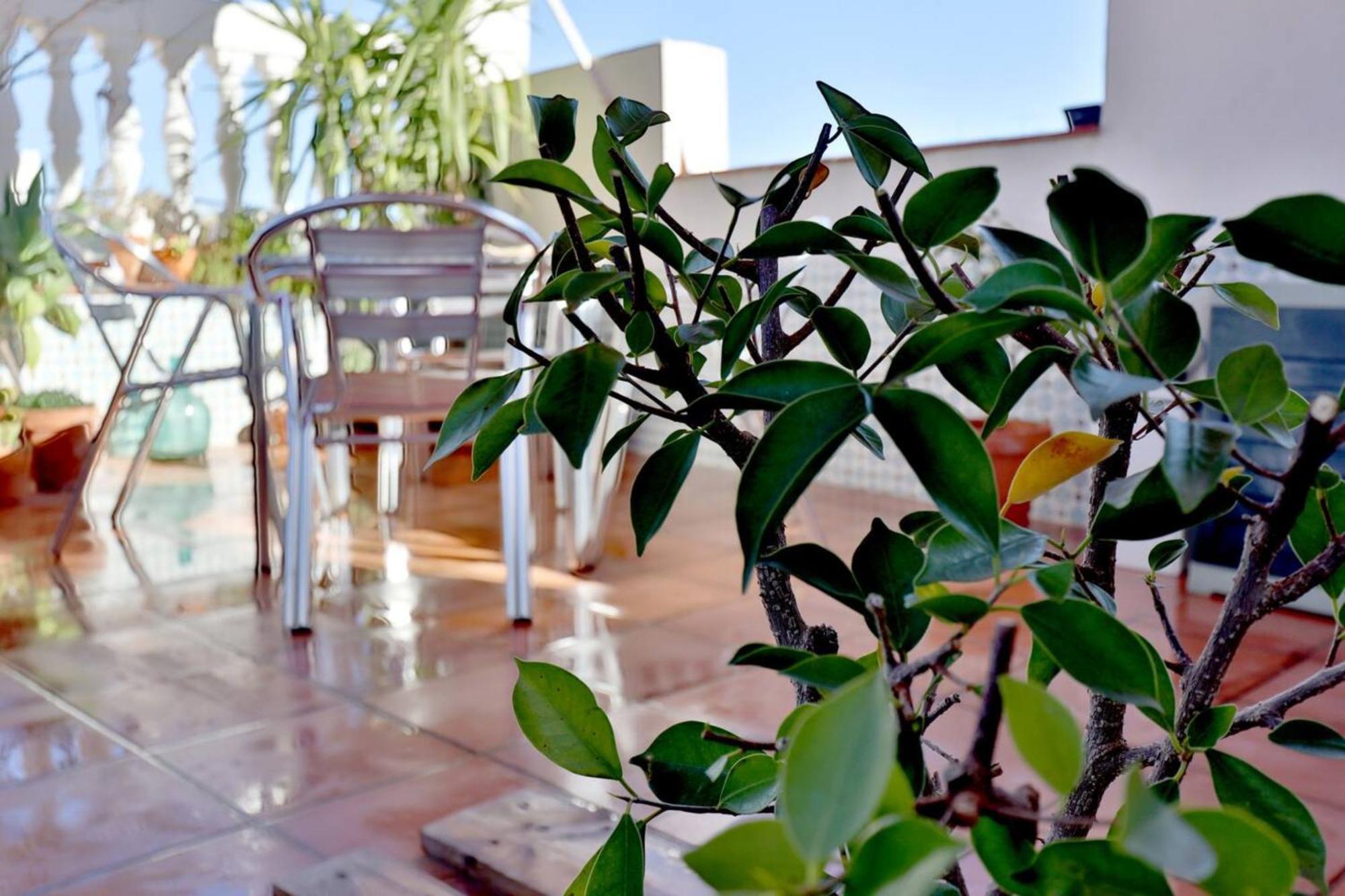 Atico Con Terraza En Pleno Centro Apartment กอร์โดบา ภายนอก รูปภาพ